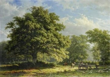 View in the Bentheim Forest by George Andries Roth Original from the Rijksmuseum